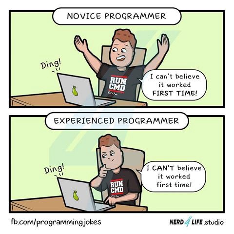 Novice programmer vs Experienced programmer